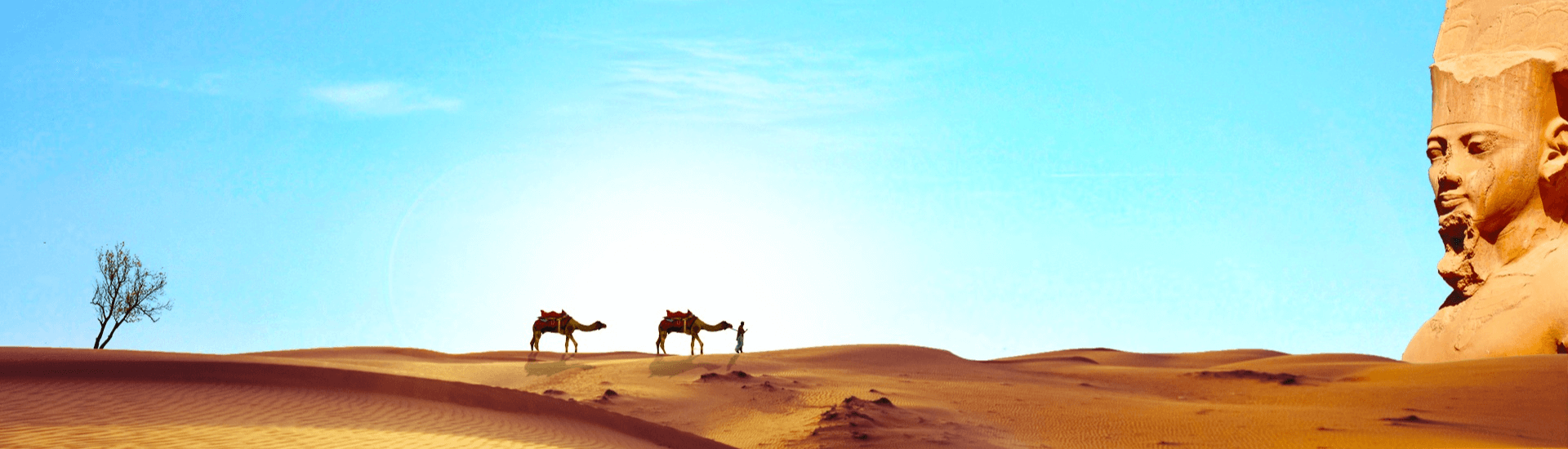 Vacanze Crociere nel Mar Rosso con deserto e cammelli
